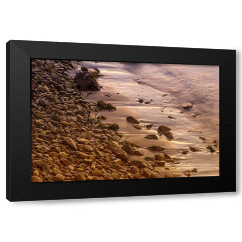 Usa-California The headlands of Point Reyes Black Modern Wood Framed Art Print with Double Matting by Sederquist, Betty