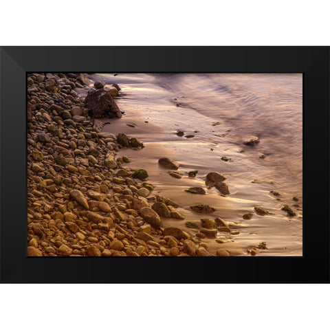 Usa-California The headlands of Point Reyes Black Modern Wood Framed Art Print by Sederquist, Betty