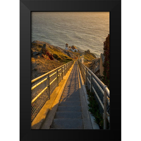 Usa-California Hundreds of stairs lead down to Point Reyes Lighthouse Black Modern Wood Framed Art Print by Sederquist, Betty