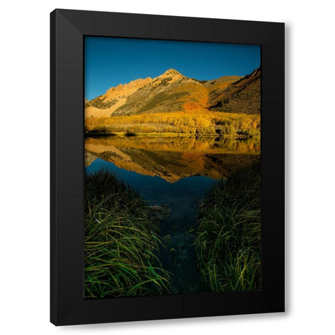 Usa-California-Sierra Nevada Morning sun lights up North Lake and the golden aspens beyond Black Modern Wood Framed Art Print with Double Matting by Sederquist, Betty
