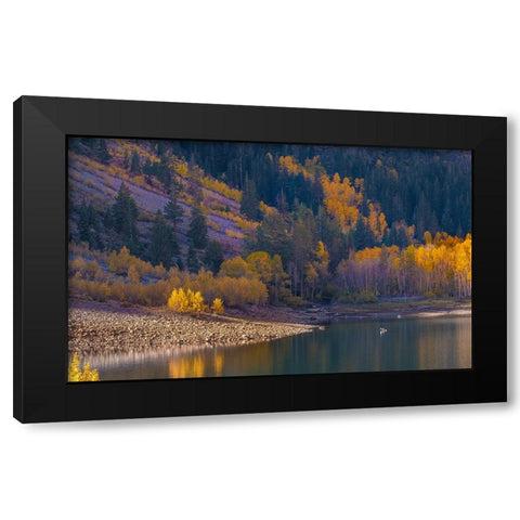 Usa-California-Sierra Nevada Lundy Lake-Glowing aspens dwarf this kayaker on Lundy Lake Black Modern Wood Framed Art Print with Double Matting by Sederquist, Betty