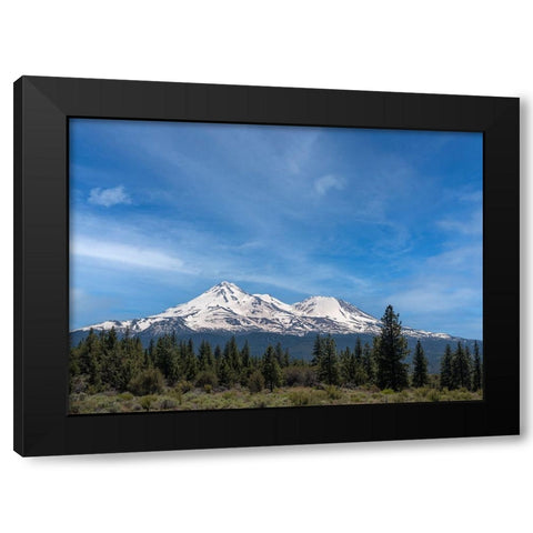 Mt. Shasta the tallest volcano in California. Black Modern Wood Framed Art Print with Double Matting by Sederquist, Betty
