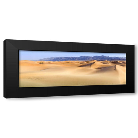 Death Valley. Landscape of Mesquite Flats Sand Dunes. Black Modern Wood Framed Art Print with Double Matting by Muir, Janet