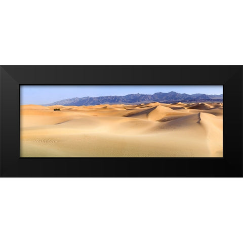 Death Valley. Landscape of Mesquite Flats Sand Dunes. Black Modern Wood Framed Art Print by Muir, Janet