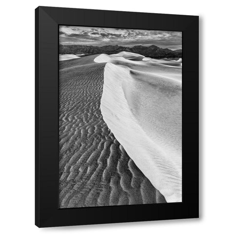 Mesquite Dunes-Death Valley National Park-California Black Modern Wood Framed Art Print with Double Matting by Ford, John
