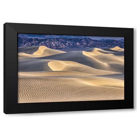 Mesquite Dunes-Death Valley National Park-California Black Modern Wood Framed Art Print by Ford, John