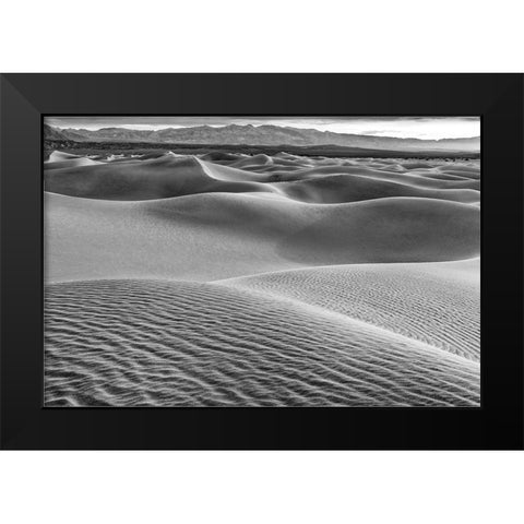 Mesquite Dunes-Death Valley National Park-California Black Modern Wood Framed Art Print by Ford, John