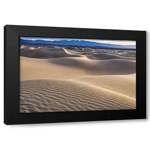 Mesquite Dunes-Death Valley National Park-California Black Modern Wood Framed Art Print with Double Matting by Ford, John