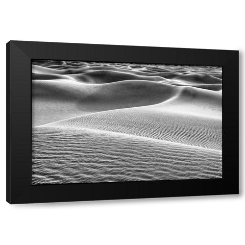 Mesquite Dunes-Death Valley National Park-California Black Modern Wood Framed Art Print with Double Matting by Ford, John