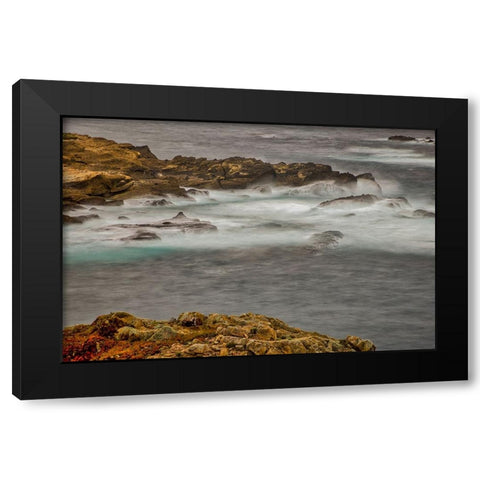 Point Lobos-Carmel-California Black Modern Wood Framed Art Print with Double Matting by Ford, John
