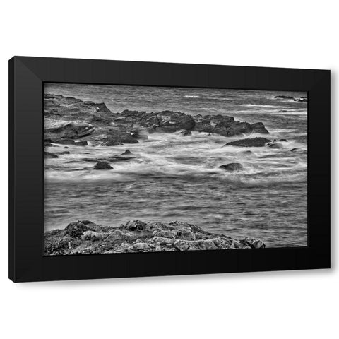 Point Lobos-Carmel-California Black Modern Wood Framed Art Print with Double Matting by Ford, John