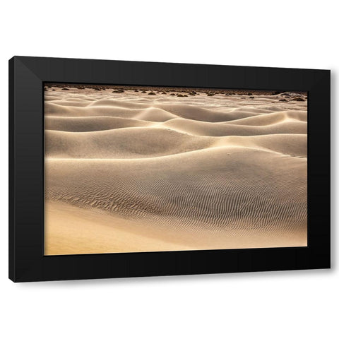Mesquite Dunes-Death Valley National Park-California Black Modern Wood Framed Art Print with Double Matting by Ford, John