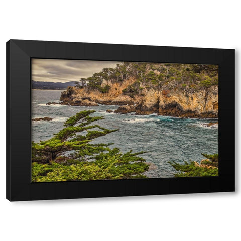 Point Lobos-Carmel-California Black Modern Wood Framed Art Print with Double Matting by Ford, John