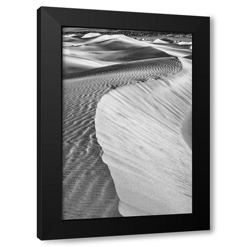 Mesquite Dunes-Death Valley National Park-California Black Modern Wood Framed Art Print with Double Matting by Ford, John