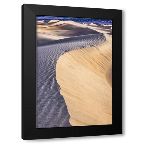 Mesquite Dunes-Death Valley National Park-California Black Modern Wood Framed Art Print by Ford, John