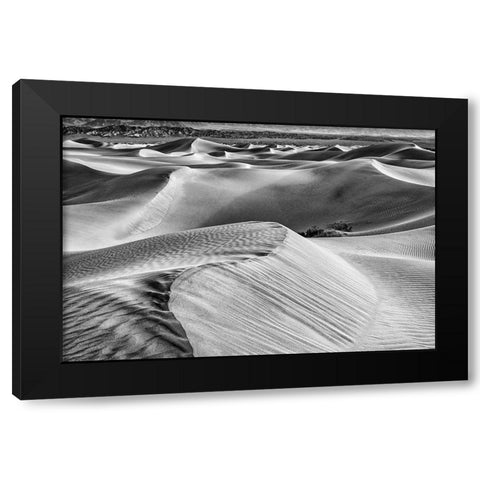 Mesquite Dunes-Death Valley National Park-California Black Modern Wood Framed Art Print with Double Matting by Ford, John