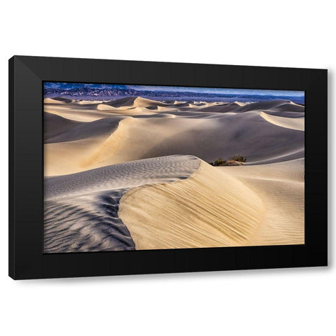 Mesquite Dunes-Death Valley National Park-California Black Modern Wood Framed Art Print by Ford, John