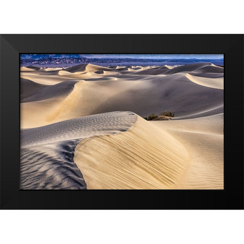 Mesquite Dunes-Death Valley National Park-California Black Modern Wood Framed Art Print by Ford, John