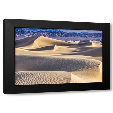Mesquite Dunes-Death Valley National Park-California Black Modern Wood Framed Art Print with Double Matting by Ford, John