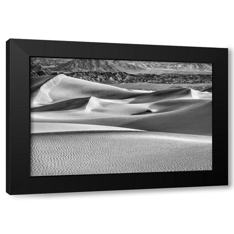 Mesquite Dunes-Death Valley National Park-California Black Modern Wood Framed Art Print by Ford, John