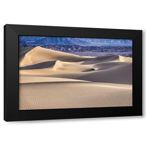 Mesquite Dunes-Death Valley National Park-California Black Modern Wood Framed Art Print with Double Matting by Ford, John