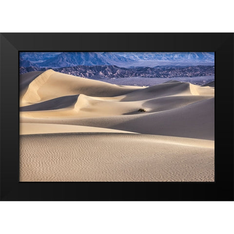 Mesquite Dunes-Death Valley National Park-California Black Modern Wood Framed Art Print by Ford, John
