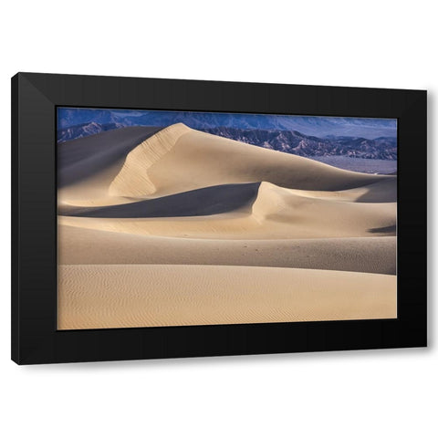 Mesquite Dunes-Death Valley National Park-California Black Modern Wood Framed Art Print by Ford, John