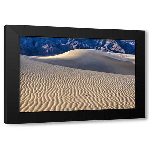 Mesquite Dunes-Death Valley National Park-California Black Modern Wood Framed Art Print by Ford, John