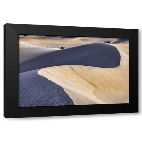 Mesquite Dunes-Death Valley National Park-California Black Modern Wood Framed Art Print with Double Matting by Ford, John