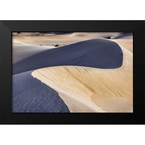Mesquite Dunes-Death Valley National Park-California Black Modern Wood Framed Art Print by Ford, John