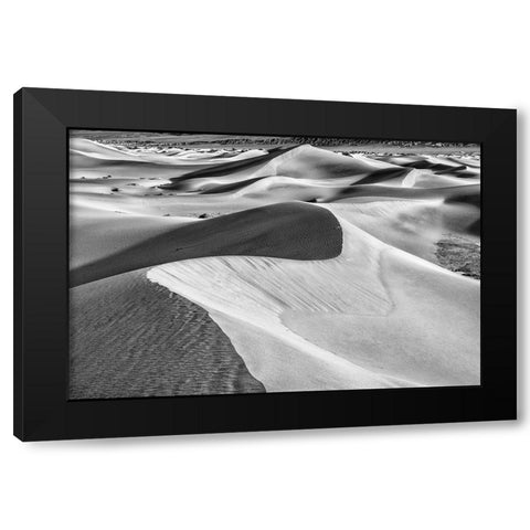 Mesquite Dunes-Death Valley National Park-California Black Modern Wood Framed Art Print with Double Matting by Ford, John