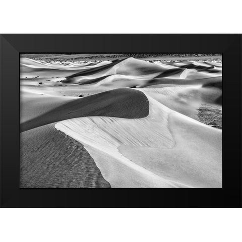 Mesquite Dunes-Death Valley National Park-California Black Modern Wood Framed Art Print by Ford, John