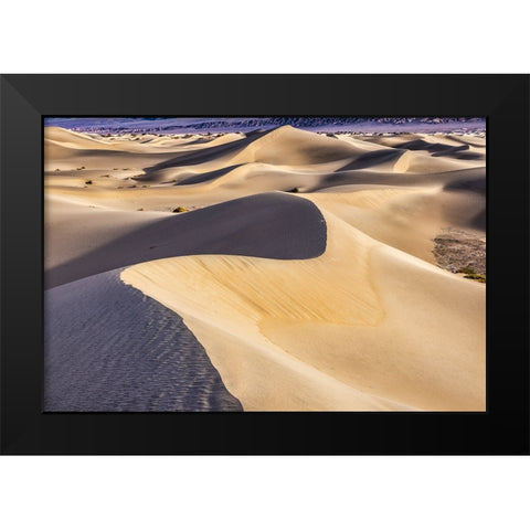 Mesquite Dunes-Death Valley National Park-California Black Modern Wood Framed Art Print by Ford, John
