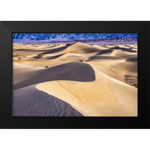 Mesquite Dunes-Death Valley National Park-California Black Modern Wood Framed Art Print by Ford, John