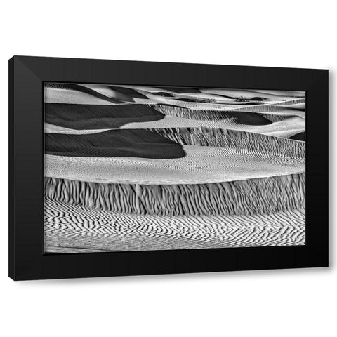Mesquite Dunes-Death Valley National Park-California Black Modern Wood Framed Art Print with Double Matting by Ford, John