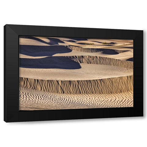 Mesquite Dunes-Death Valley National Park-California Black Modern Wood Framed Art Print by Ford, John