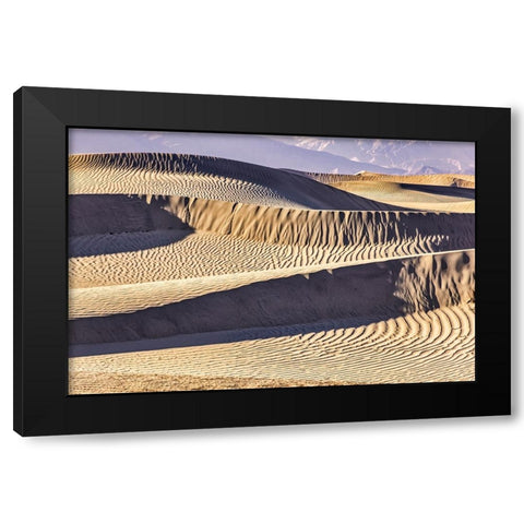 Mesquite Dunes-Death Valley National Park-California Black Modern Wood Framed Art Print by Ford, John