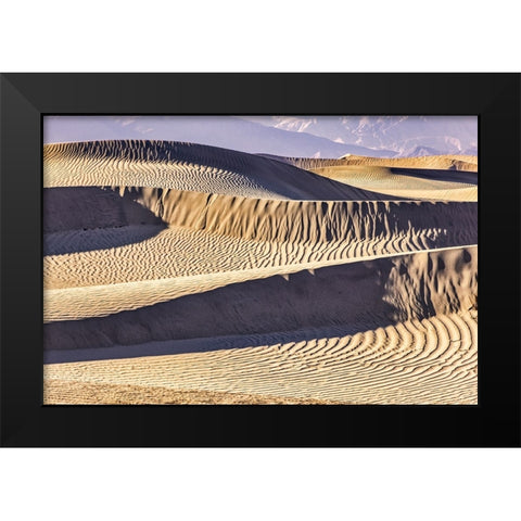 Mesquite Dunes-Death Valley National Park-California Black Modern Wood Framed Art Print by Ford, John