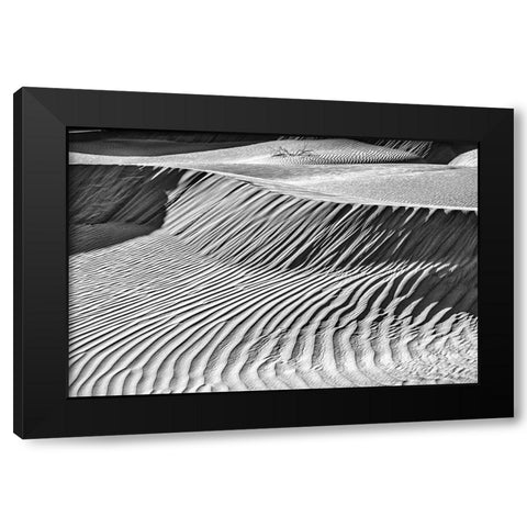 Mesquite Dunes-Death Valley National Park-California Black Modern Wood Framed Art Print with Double Matting by Ford, John
