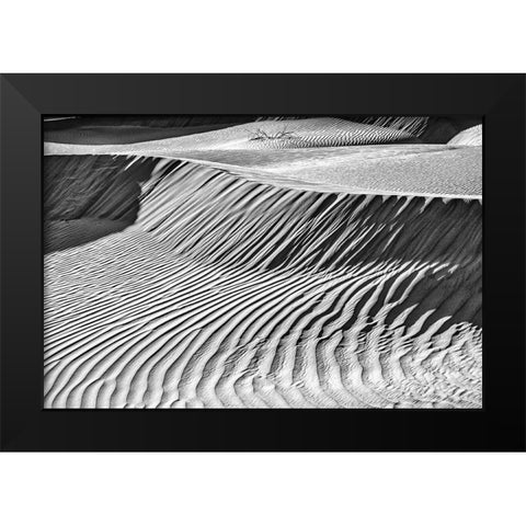 Mesquite Dunes-Death Valley National Park-California Black Modern Wood Framed Art Print by Ford, John