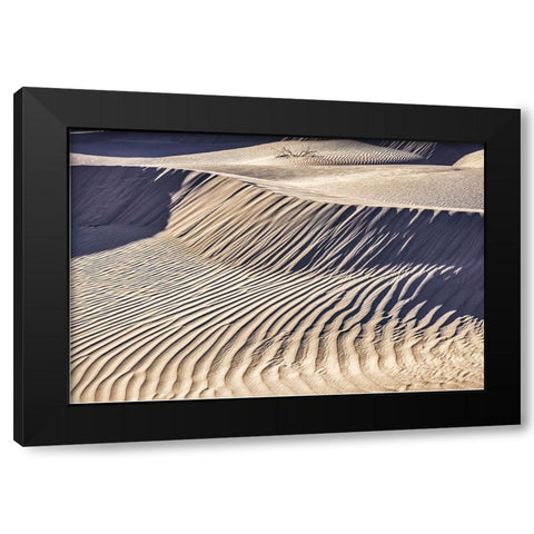 Mesquite Dunes-Death Valley National Park-California Black Modern Wood Framed Art Print with Double Matting by Ford, John