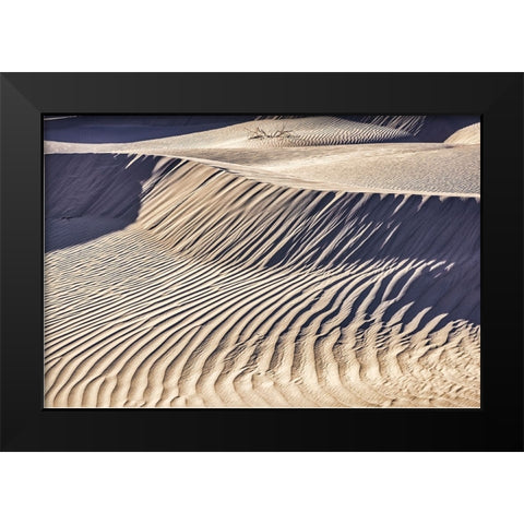 Mesquite Dunes-Death Valley National Park-California Black Modern Wood Framed Art Print by Ford, John