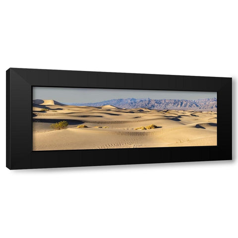 Mesquite Dunes-Death Valley National Park-California Black Modern Wood Framed Art Print by Ford, John