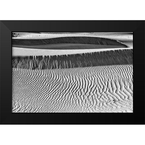 Mesquite Dunes-Death Valley National Park-California Black Modern Wood Framed Art Print by Ford, John
