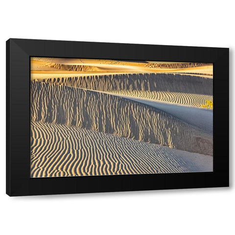 Mesquite Dunes-Death Valley National Park-California Black Modern Wood Framed Art Print with Double Matting by Ford, John