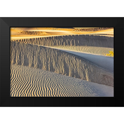 Mesquite Dunes-Death Valley National Park-California Black Modern Wood Framed Art Print by Ford, John