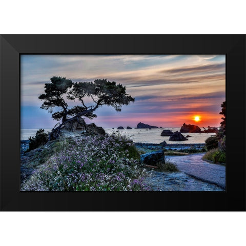 USA-California-Crescent City-Monterey Cypress Black Modern Wood Framed Art Print by Restuccia, Joe III