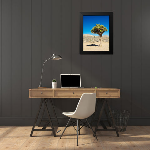 California Joshua Trees Black Modern Wood Framed Art Print by Wild, Jamie and Judy