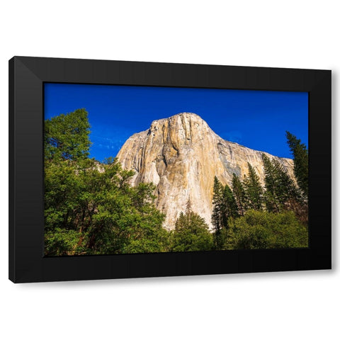 El Capitan-Yosemite Valley-Yosemite National Park-California-USA Black Modern Wood Framed Art Print with Double Matting by Bishop, Russ