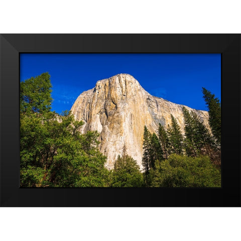 El Capitan-Yosemite Valley-Yosemite National Park-California-USA Black Modern Wood Framed Art Print by Bishop, Russ